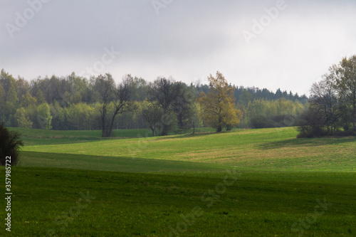  Cultivated land in early spring