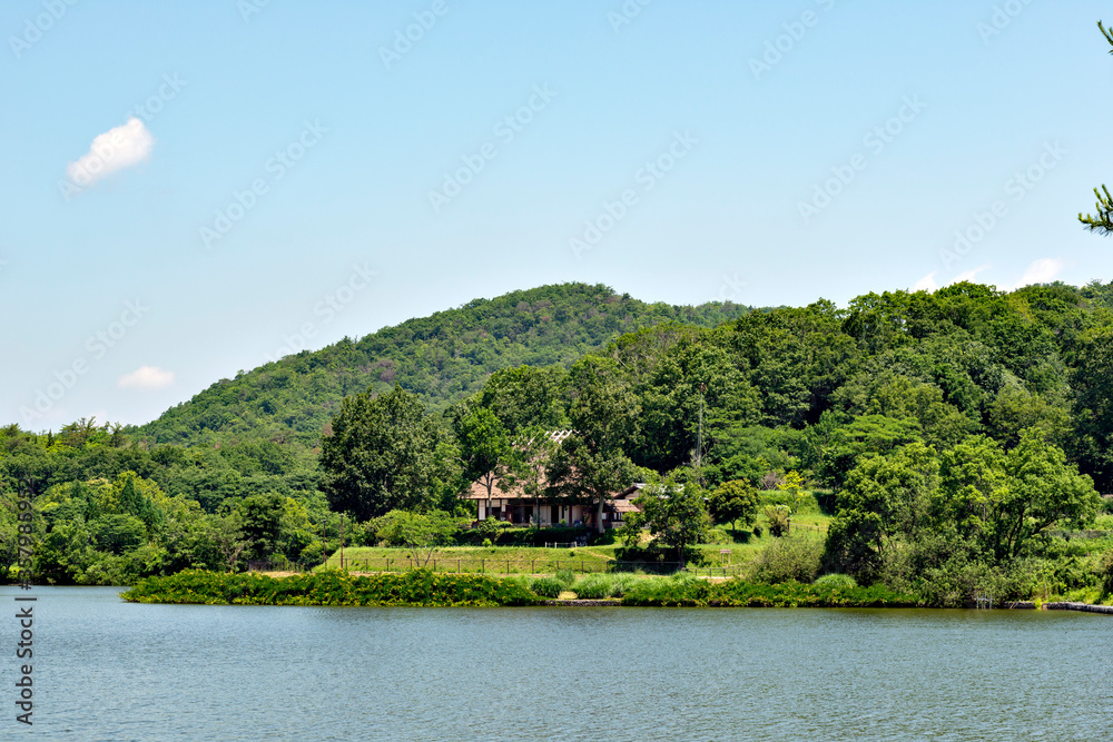 Foto de A traditional thatched roof Japanese house preserved at a ...