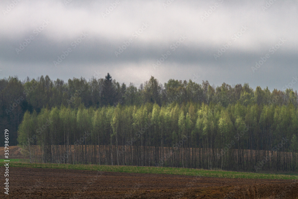 Cultivated land in early spring Cultivated land in early spring