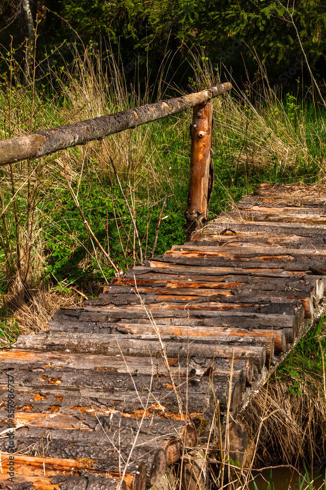 Fototapeta premium Wooden footbridge in the lake