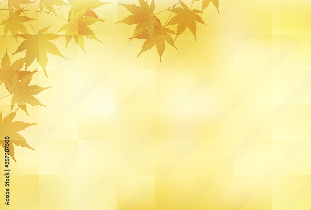 紅葉 もみじ 秋 背景 紅葉 もみじ 秋 背景