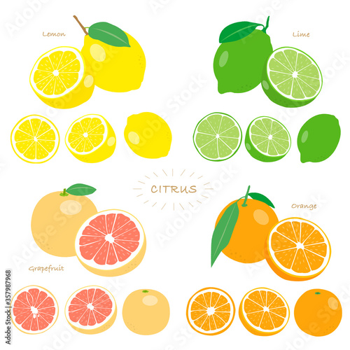 citrus_fruit_set