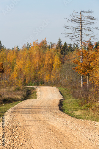 Autumn in Karula national park photo