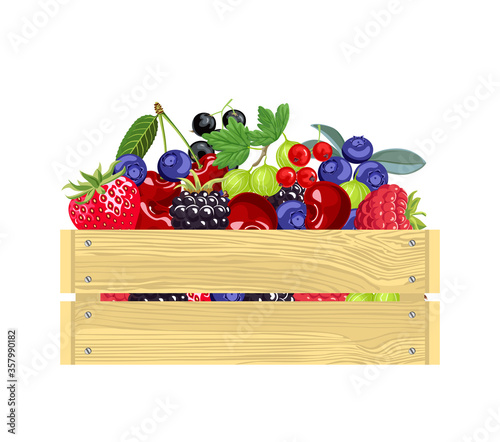 Different berry fruits in wooden box isolated on white background. Fresh products. Vector illustration of organic food in cartoon flat style.