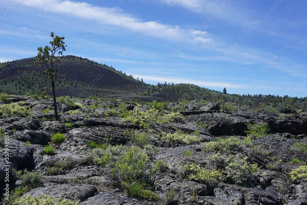 Black lava rock in Craters of the Moon National Monument (Idaho, United States) Black lava rock in Craters of the Moon National Monument (Idaho, United States)