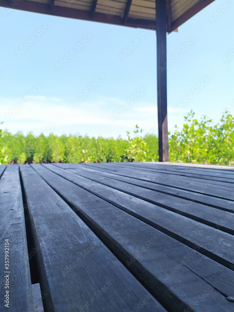 
The wooden floor stretched overlooking the sky and trees.