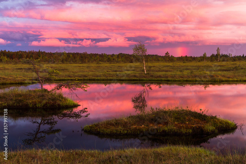 Swamp on a sunny day in great colors photo