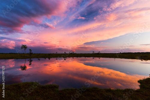 Swamp on a sunny day in great colors