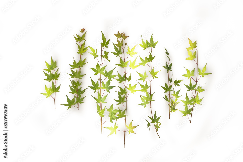 緑の葉のフレーム　Green leaf background material