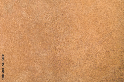 Wallpaper Mural Natural brown leather texture, useful as a background. Color luxury fabric with pattern rough cloth surface. Weathered antique grain animal. Torontodigital.ca