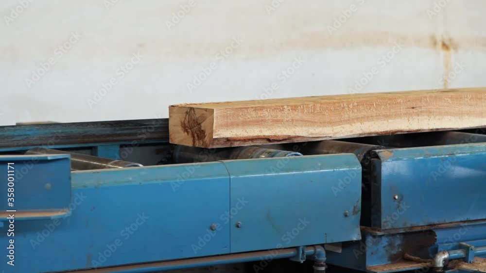 Tree Trunk Being Cut into Planks Machine Details Sawmill Interior Slow motion Tree Trunk Being Cut into Planks Machine Details Sawmill Interior Slow motion