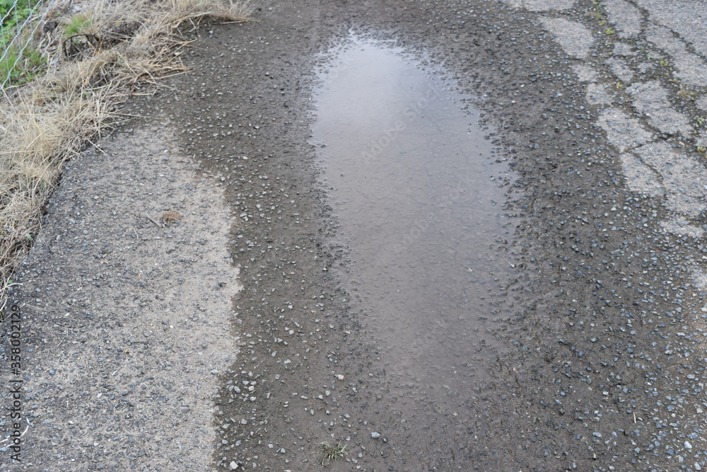 Obraz premium アスファルトの上の水溜り
