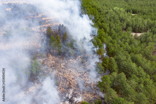 Aerial drone view of a wildfire in forested area