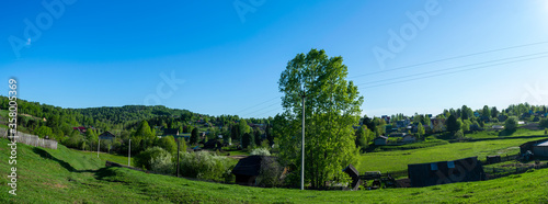 Fototapeta Naklejka Na Ścianę i Meble -  panoramic view of a vineyard