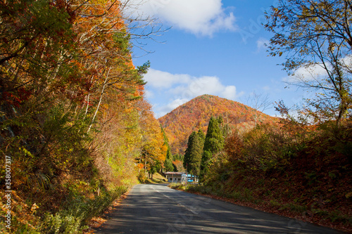 Autumn fall foliage Mountain at Bandai Azuma Skyline at Mt.Bandai in Fukushima, Tohoku, Japan.