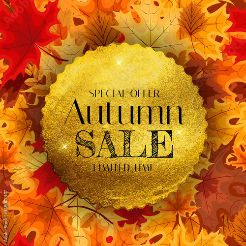 Autumn Sale Background Template with leaves. Special offer. Limited Time. Vec...