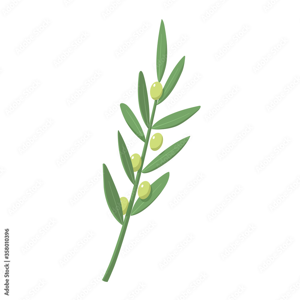 Green olive branch vector. Symbol of Greece. Eco food. Greek cuisine Green olive branch vector. Symbol of Greece. Eco food. Greek cuisine