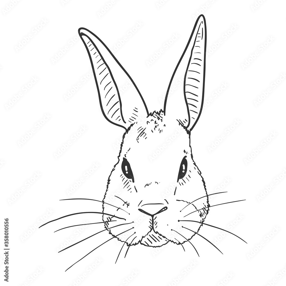 Fototapeta premium Vector Sketch Rabbit Head