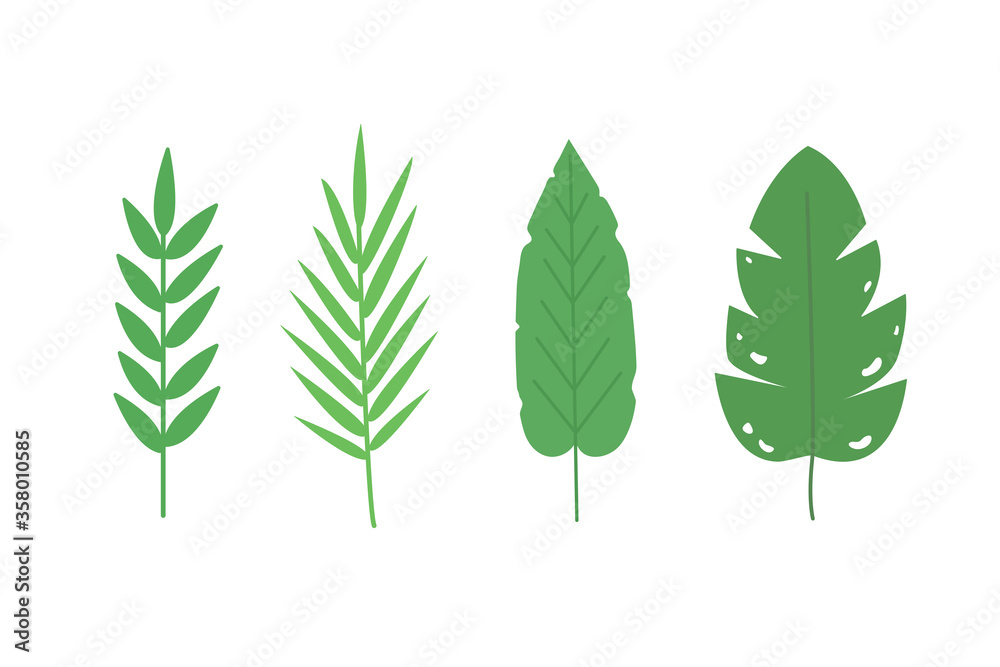 Set of large tropical leaves. Great for the background. Set of large tropical leaves. Great for the background.