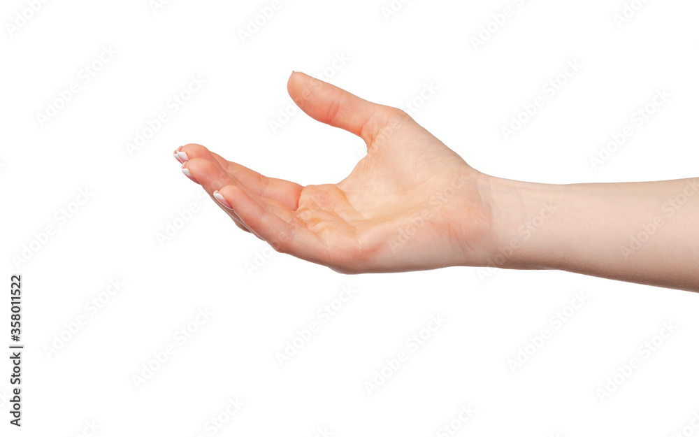 Female hand showing begging sign or offering Female hand showing begging sign or offering