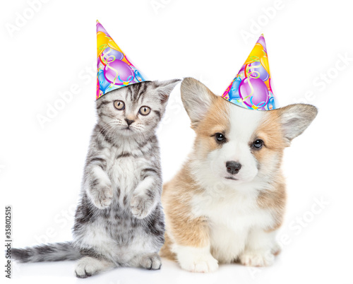 Kitten and corgi puppy wearing party's hats sit and look at camera  together. isolated on white background © Ermolaev Alexandr