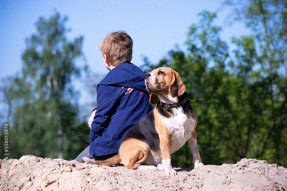 boy and his friend funny beagle dog outdoors in summer