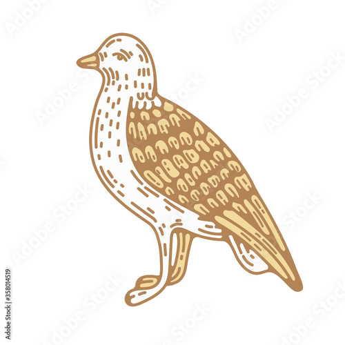 seagull bird hand drawn vector
illustration in vintage retro engraving style. graphic design clip art for logo and branding identity. isolated on white background