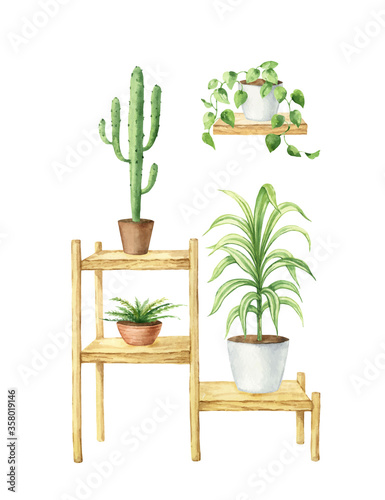 Watercolor vector interior of the house with home plants.