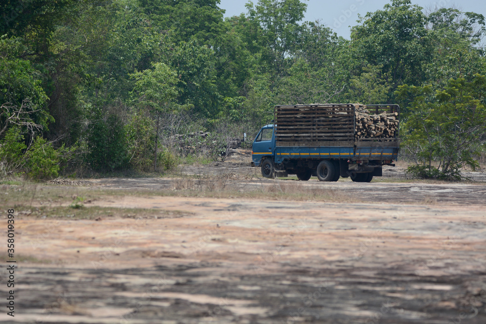 Fototapeta premium truck in the forest
