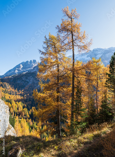 Autumn alpine Dolomites mountain view from Fedaia Pass, Trentino, Sudtirol, Italy. Picturesque traveling, seasonal, and nature beauty concept scene.