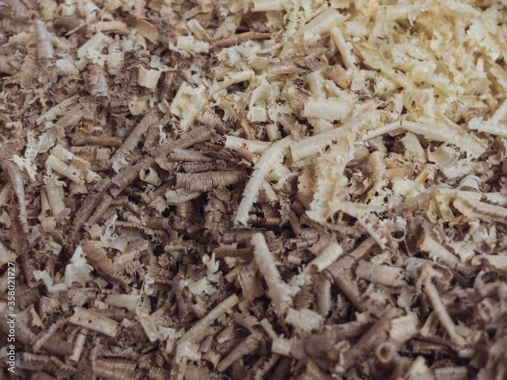 creative idea for background. wood shavings, sawdust in a carpentry workshop creative idea for background. wood shavings, sawdust in a carpentry workshop