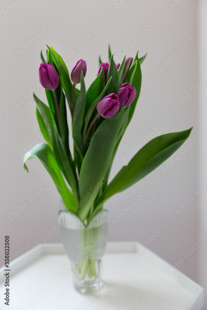 A bouquet of violet tulips in a crystal vase on white table, white backround A bouquet of violet tulips in a crystal vase on white table, white backround