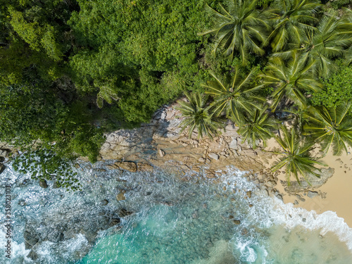 tropical beach top with palm trees