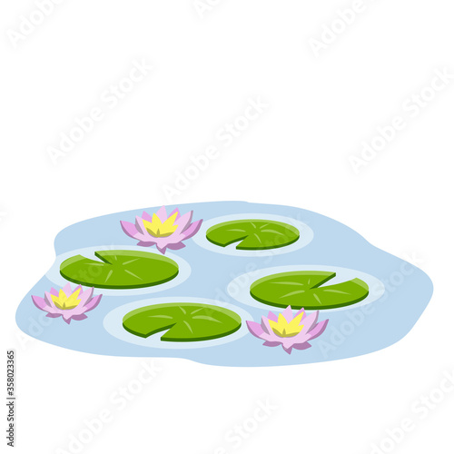 Nenuphars or lotus. Water lily. Plant on lake and blue pond. Big green leaf. Swamp Pink flowers. Flat cartoon. Element of nature, forest and wild life
