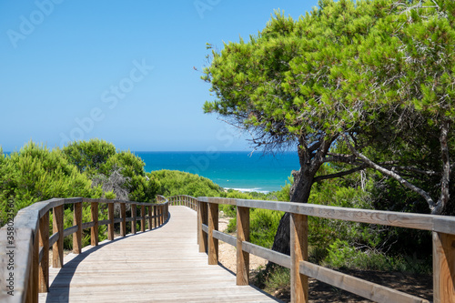 Broadwalk to a sand beach, trees, ocean and blue sky