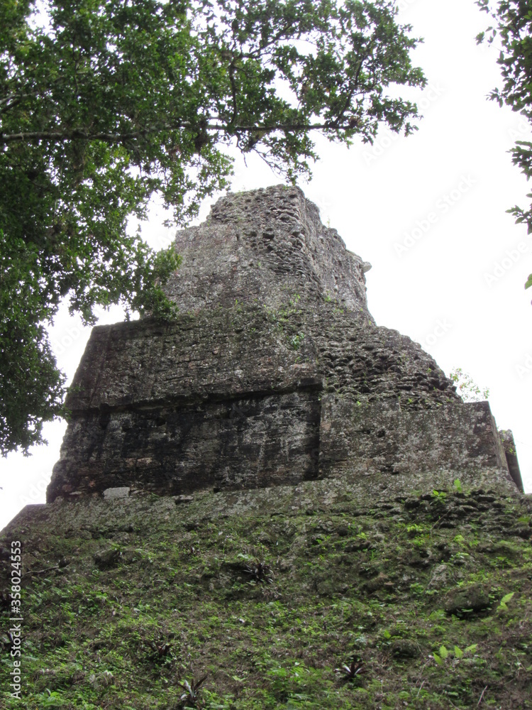 TIKAL NATIONAL PARK, PETEN, GUATEMALA TIKAL NATIONAL PARK, PETEN, GUATEMALA