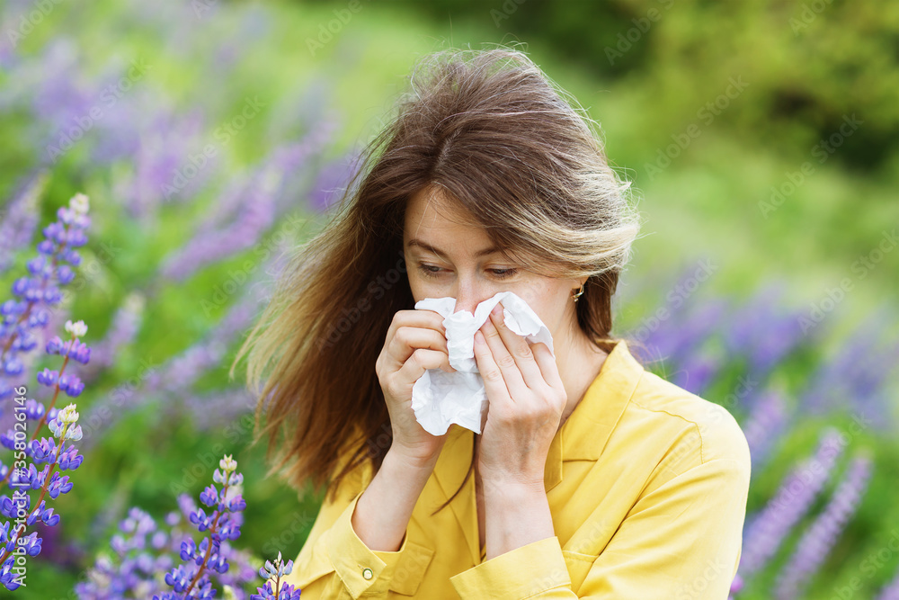 The girl sneezes in a handkerchief against the background of lupins. The concept of allergy to flowers The girl sneezes in a handkerchief against the background of lupins. The concept of allergy to flowers