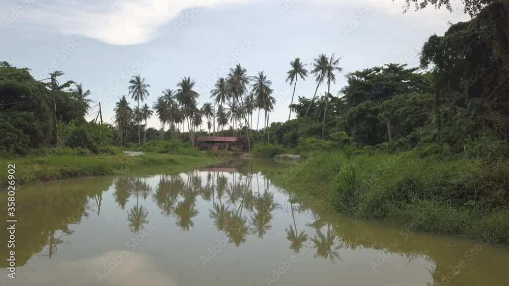 Aerial view fly over river reflection of coconut trees. Aerial view fly over river reflection of coconut trees.