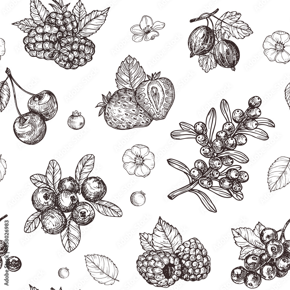 Fototapeta premium Hand drawn berries pattern. Sketch vintage style. Design template.