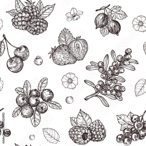Hand drawn berries pattern. Sketch vintage style. Design template. 