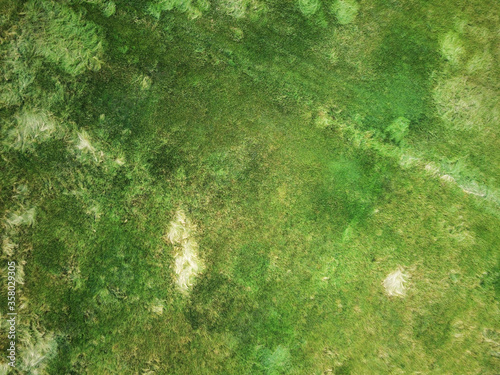Obraz na płótnie background texture image of grass w salonie