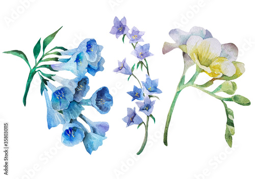 Fototapeta Naklejka Na Ścianę i Meble -  set of blue flowers