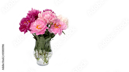 Bouquet of white and pink peonies in the vase isolated on white. © Татьяна Креминская