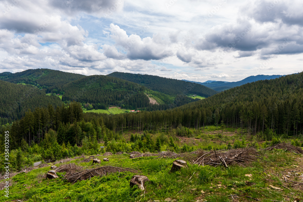Mountain landscape, mountain landscape in the summer. Green Mountain Pines and spruce in the mountains. Clouds sky. The clouds. Trekking route in the mountains. Traveling in the mountains.