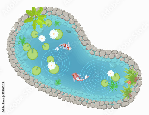 Vector illustration. Pond with carp and lotus flowers. (Top view) Lake with fish and plants. (View from above)