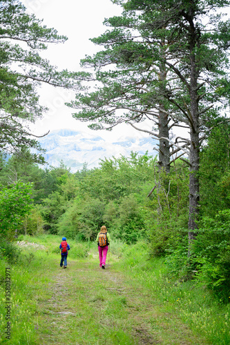 Woman and child walking through a beautiful forest in the mountains