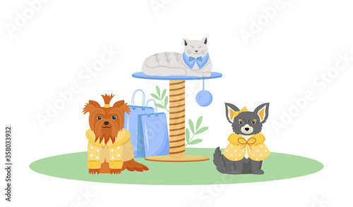Pet fashion flat color vector character. Cute dog and cat wear clothes. Products to pumper domestic animal. Pet shop isolated cartoon illustration for web graphic design and animation