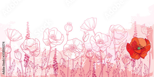 Field with outline Poppy flower, bud, leaves and seed pod in pink and red on the pastel textured background.