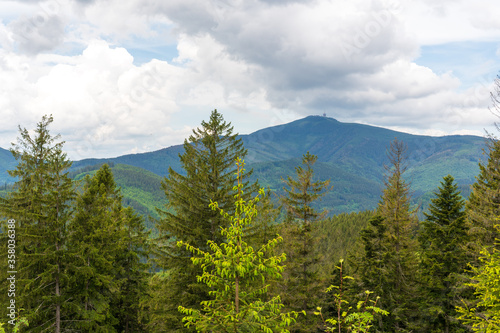 Beautiful pine trees on background high mountains. Beskydy Lysa hora czech © Martin