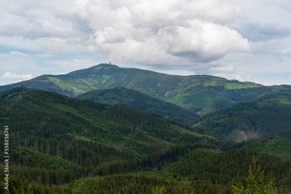Beautiful pine trees on background high mountains. Beskydy Lysa hora czech Beautiful pine trees on background high mountains. Beskydy Lysa hora czech